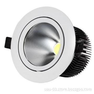 30W COB LED Downlight